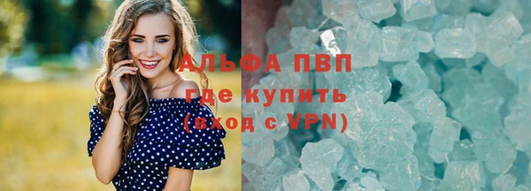крисы Аркадак