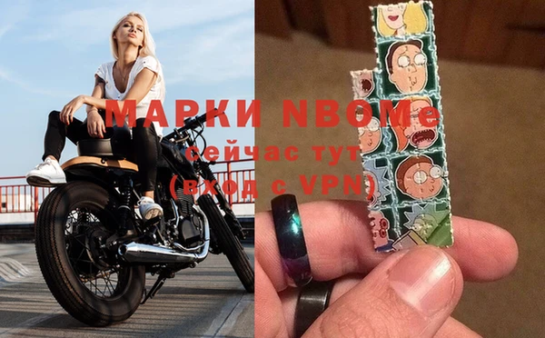 гашик Алагир