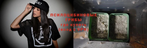 трава Армянск